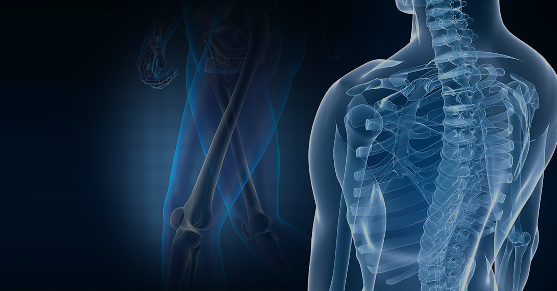 Bünyeniz için <b>D3 desteği!</b>